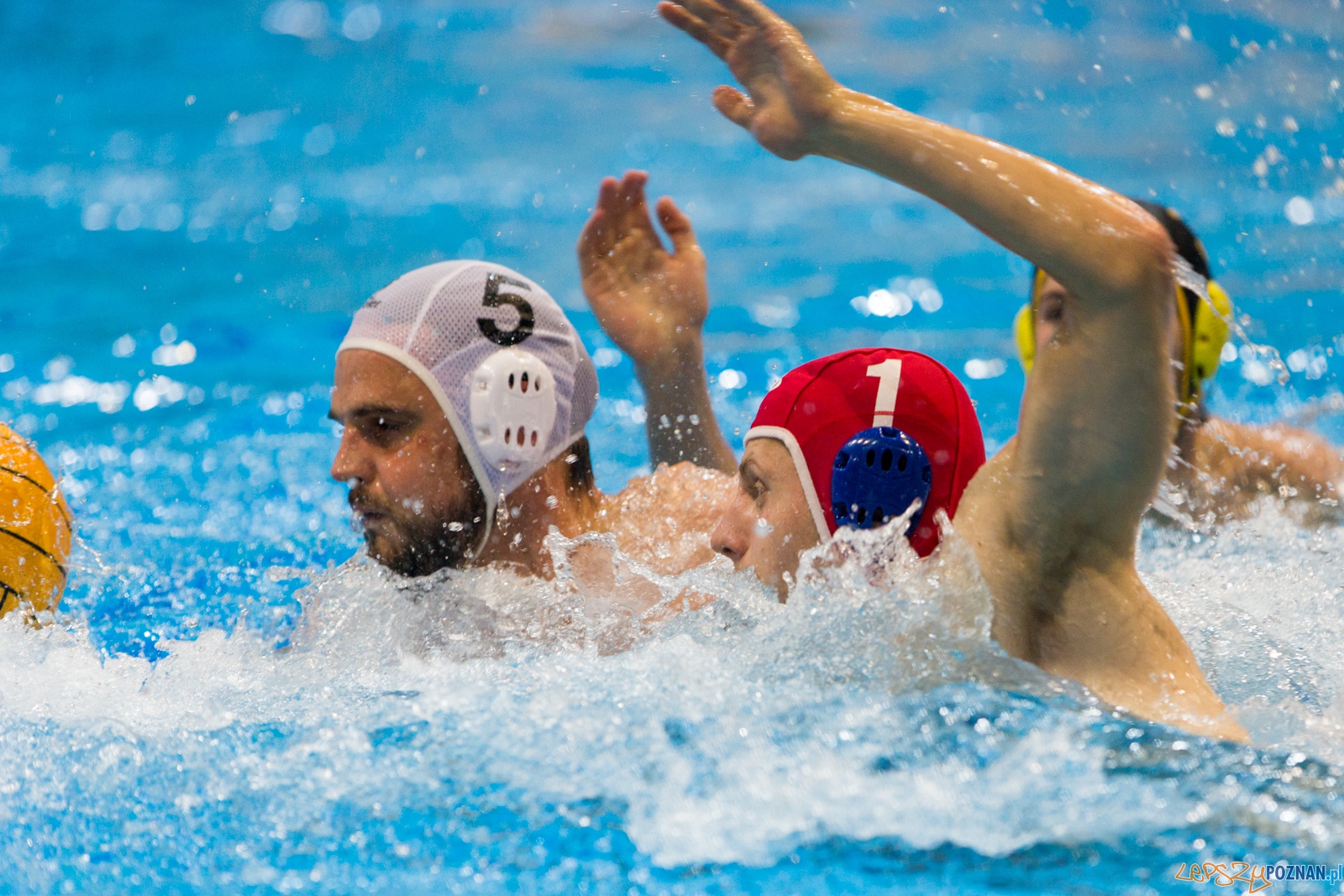 1. kolejka rozgrywek Ekstraklasy w piłce wodnej mężczyzn Foto: lepszyPOZNAN.pl / Piotr Rychter 1. kolejka rozgrywek Ekstraklasy w piłce wodnej mężczyzn Foto: lepszyPOZNAN.pl / Piotr Rychter
