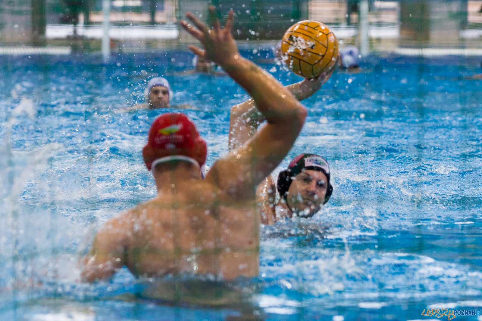 Puchar Polski w piłce wodnej mężczyzn 2015 (GKPW 59 Gorzów - Foto: lepszyPOZNAN.pl / Piotr Rychter Puchar Polski w piłce wodnej mężczyzn 2015 (GKPW 59 Gorzów - Foto: lepszyPOZNAN.pl / Piotr Rychter