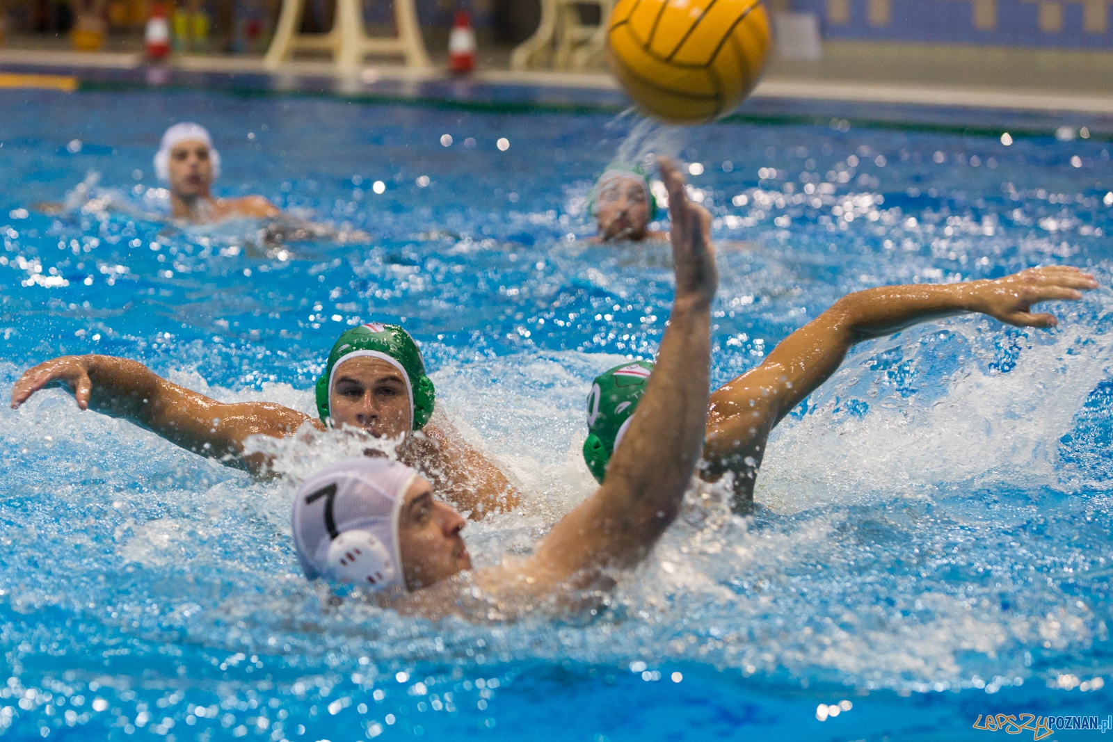 Puchar Polski w piłce wodnej mężczyzn 2015 - Waterpolo Pozna Foto: lepszyPOZNAN.pl / Piotr Rychter Puchar Polski w piłce wodnej mężczyzn 2015 - Waterpolo Pozna Foto: lepszyPOZNAN.pl / Piotr Rychter