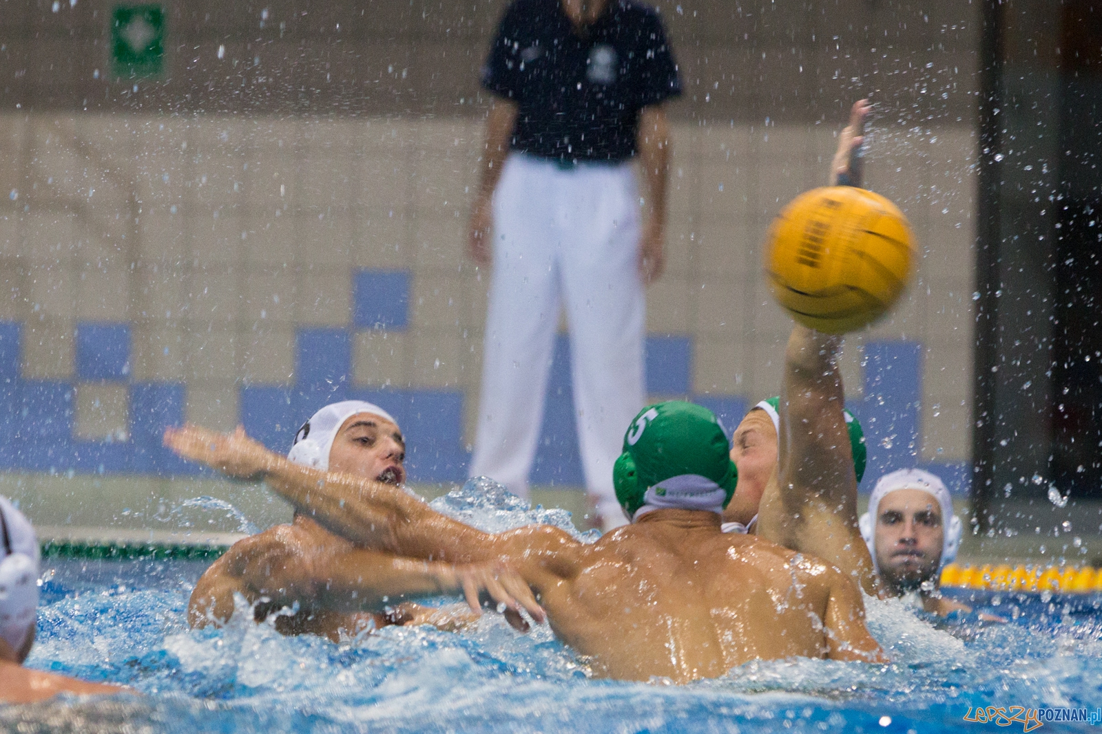 Puchar Polski w piłce wodnej mężczyzn 2015 - Waterpolo Pozna Foto: lepszyPOZNAN.pl / Piotr Rychter Puchar Polski w piłce wodnej mężczyzn 2015 - Waterpolo Pozna Foto: lepszyPOZNAN.pl / Piotr Rychter