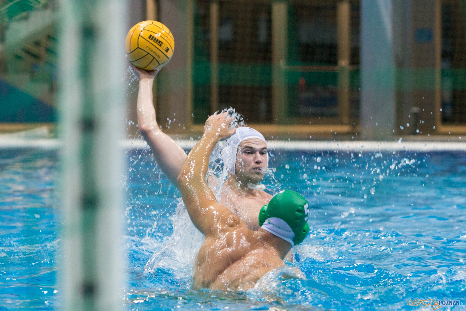 Puchar Polski w piłce wodnej mężczyzn 2015 - Waterpolo Pozna Foto: lepszyPOZNAN.pl / Piotr Rychter Puchar Polski w piłce wodnej mężczyzn 2015 - Waterpolo Pozna Foto: lepszyPOZNAN.pl / Piotr Rychter