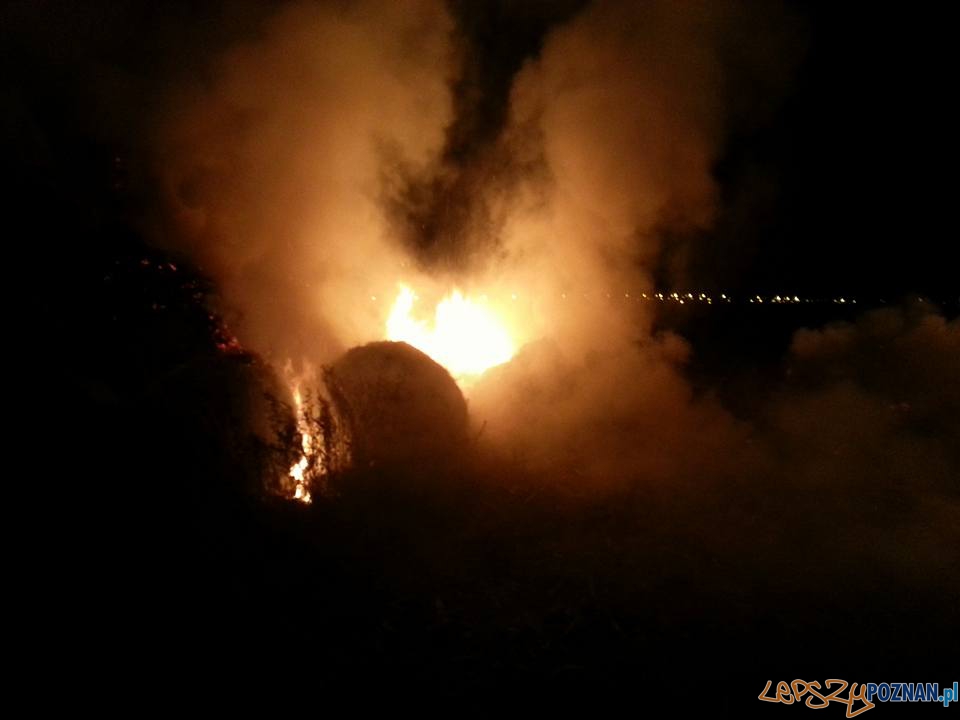 Spłonął stóg siana Foto: OSP Kostrzyn Spłonął stóg siana Foto: OSP Kostrzyn