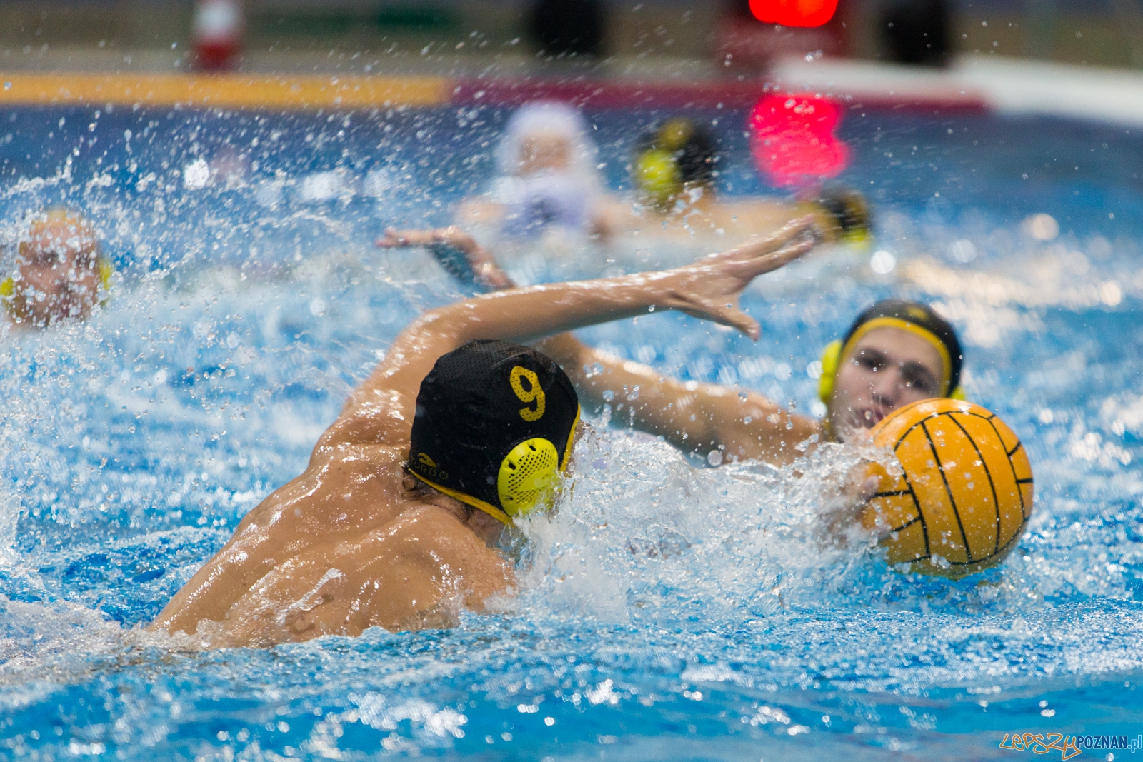 1. kolejka rozgrywek Ekstraklasy w piłce wodnej mężczyzn Foto: lepszyPOZNAN.pl / Piotr Rychter 1. kolejka rozgrywek Ekstraklasy w piłce wodnej mężczyzn Foto: lepszyPOZNAN.pl / Piotr Rychter