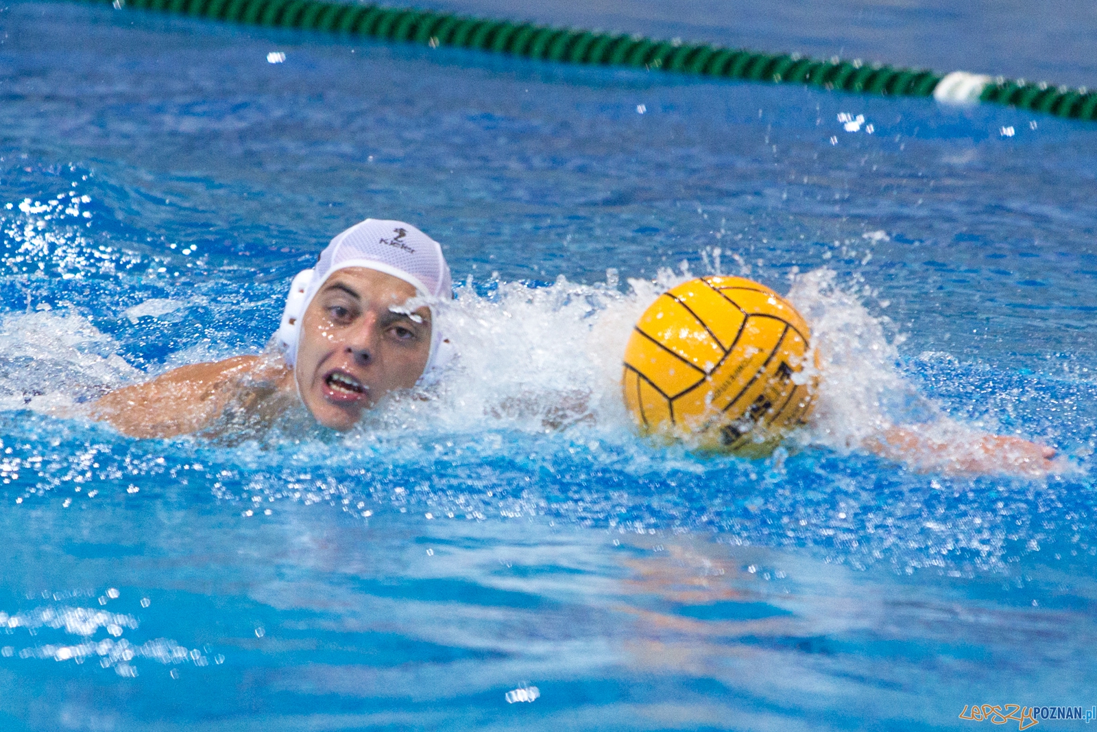 Puchar Polski w piłce wodnej mężczyzn 2015 - Waterpolo Pozna Foto: lepszyPOZNAN.pl / Piotr Rychter Puchar Polski w piłce wodnej mężczyzn 2015 - Waterpolo Pozna Foto: lepszyPOZNAN.pl / Piotr Rychter