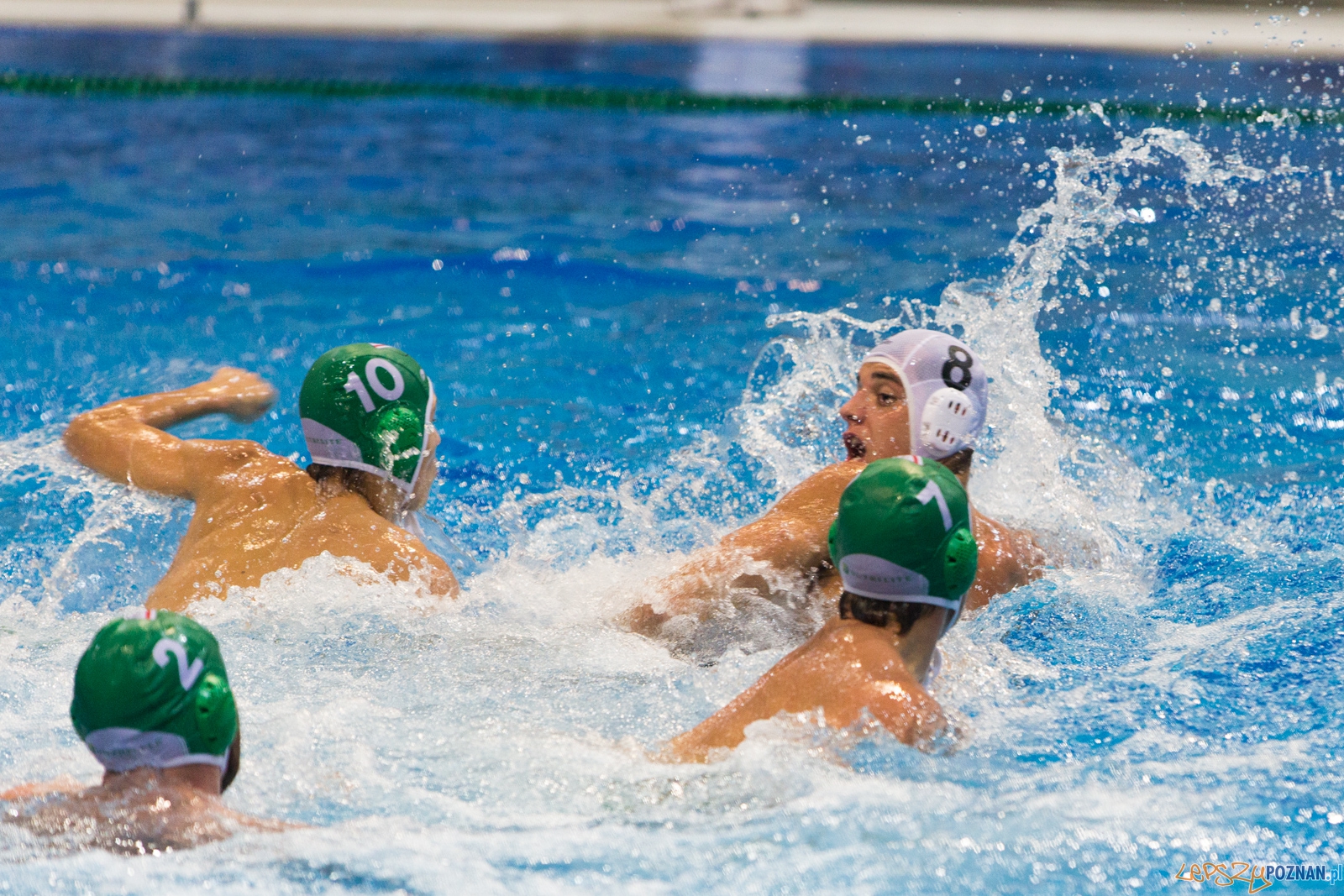 Puchar Polski w piłce wodnej mężczyzn 2015 - Waterpolo Pozna Foto: lepszyPOZNAN.pl / Piotr Rychter Puchar Polski w piłce wodnej mężczyzn 2015 - Waterpolo Pozna Foto: lepszyPOZNAN.pl / Piotr Rychter