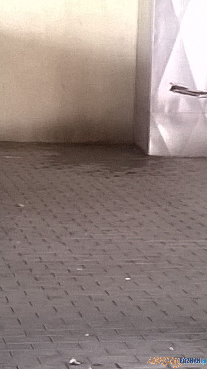 Toaleta Foto: Toaleta Foto: