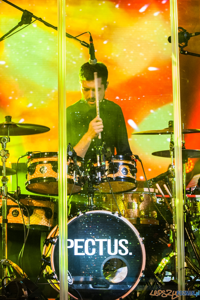 Pectus (27.10.2015) Aula UAM Foto: © Karolina Kiraga Pectus (27.10.2015) Aula UAM Foto: © Karolina Kiraga