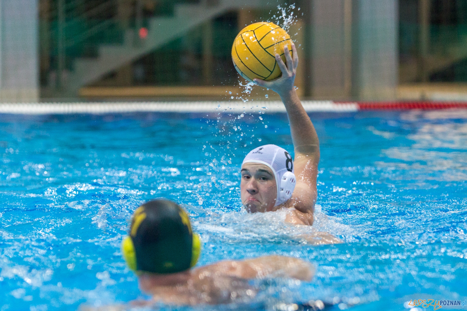 1. kolejka rozgrywek Ekstraklasy w piłce wodnej mężczyzn Foto: lepszyPOZNAN.pl / Piotr Rychter 1. kolejka rozgrywek Ekstraklasy w piłce wodnej mężczyzn Foto: lepszyPOZNAN.pl / Piotr Rychter