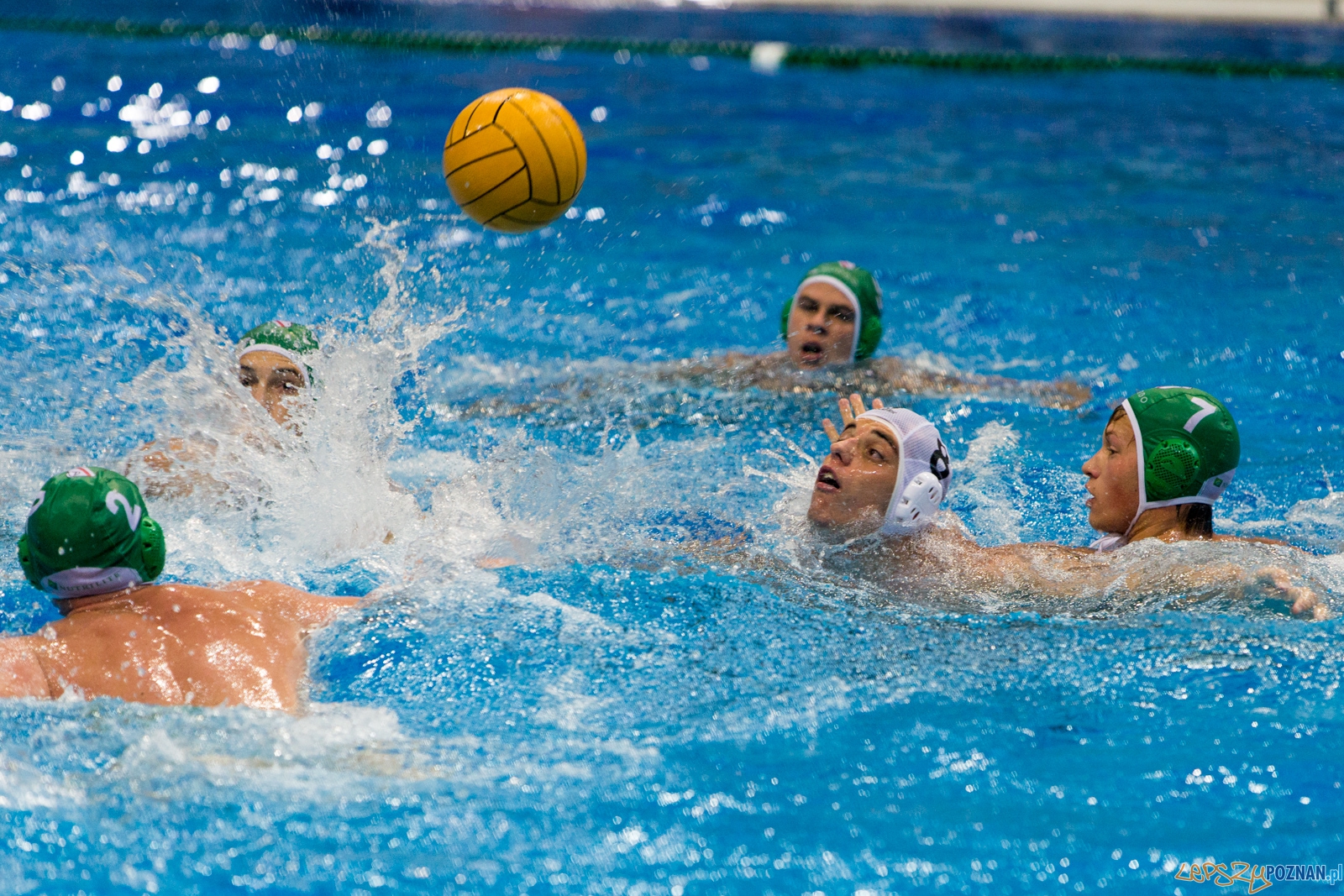 Puchar Polski w piłce wodnej mężczyzn 2015 - Waterpolo Pozna Foto: lepszyPOZNAN.pl / Piotr Rychter Puchar Polski w piłce wodnej mężczyzn 2015 - Waterpolo Pozna Foto: lepszyPOZNAN.pl / Piotr Rychter