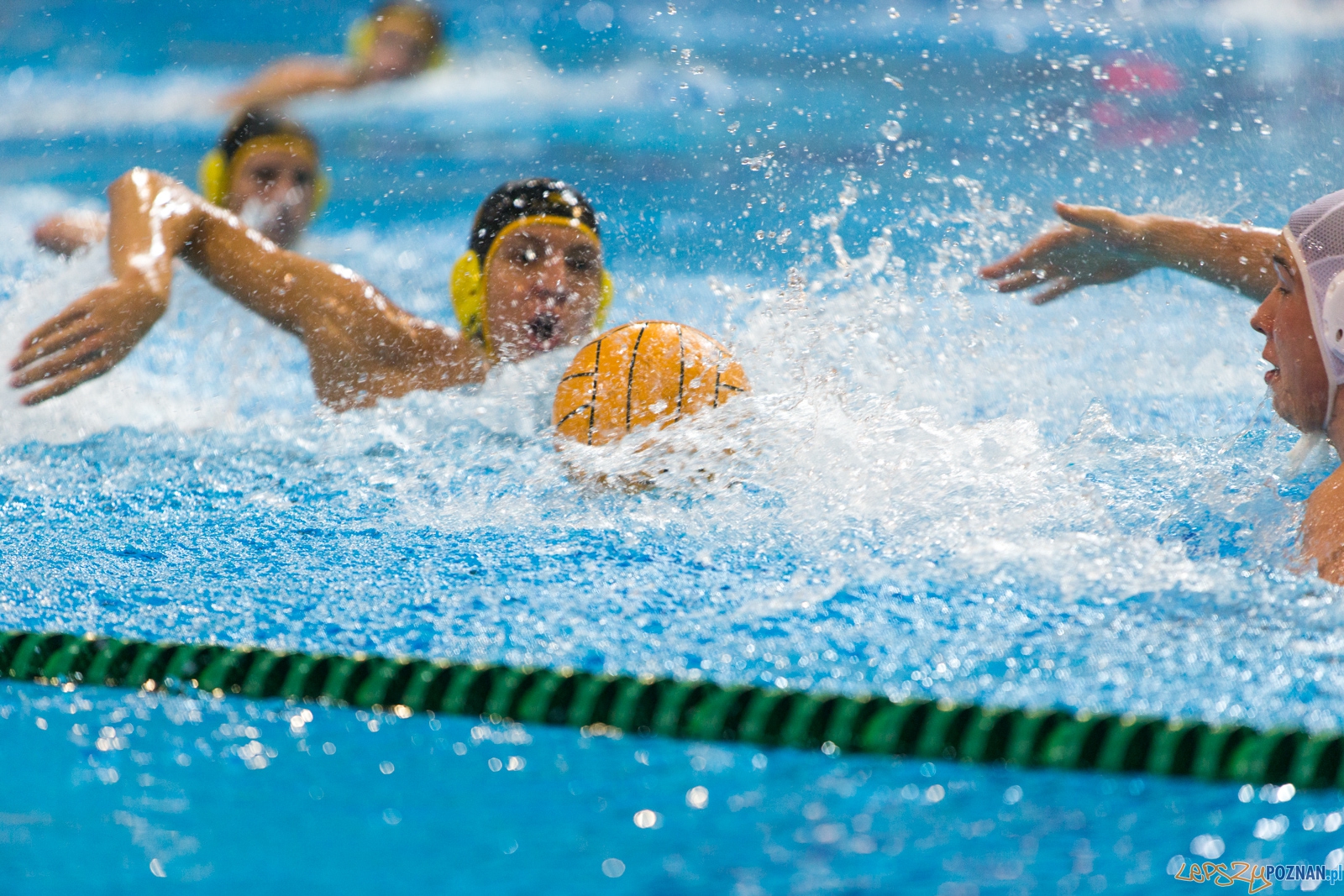 1. kolejka rozgrywek Ekstraklasy w piłce wodnej mężczyzn Foto: lepszyPOZNAN.pl / Piotr Rychter 1. kolejka rozgrywek Ekstraklasy w piłce wodnej mężczyzn Foto: lepszyPOZNAN.pl / Piotr Rychter
