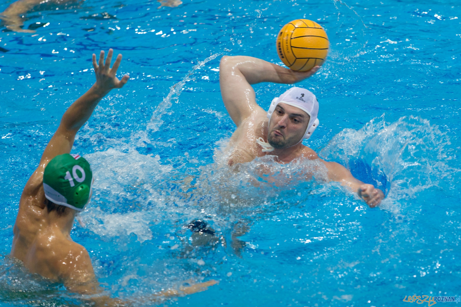 Puchar Polski w piłce wodnej mężczyzn 2015 - Waterpolo Pozna Foto: lepszyPOZNAN.pl / Piotr Rychter Puchar Polski w piłce wodnej mężczyzn 2015 - Waterpolo Pozna Foto: lepszyPOZNAN.pl / Piotr Rychter