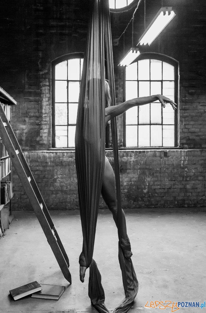 Wystawa fotografii przy Podgórnej Foto: materiały prasowe Wystawa fotografii przy Podgórnej Foto: materiały prasowe