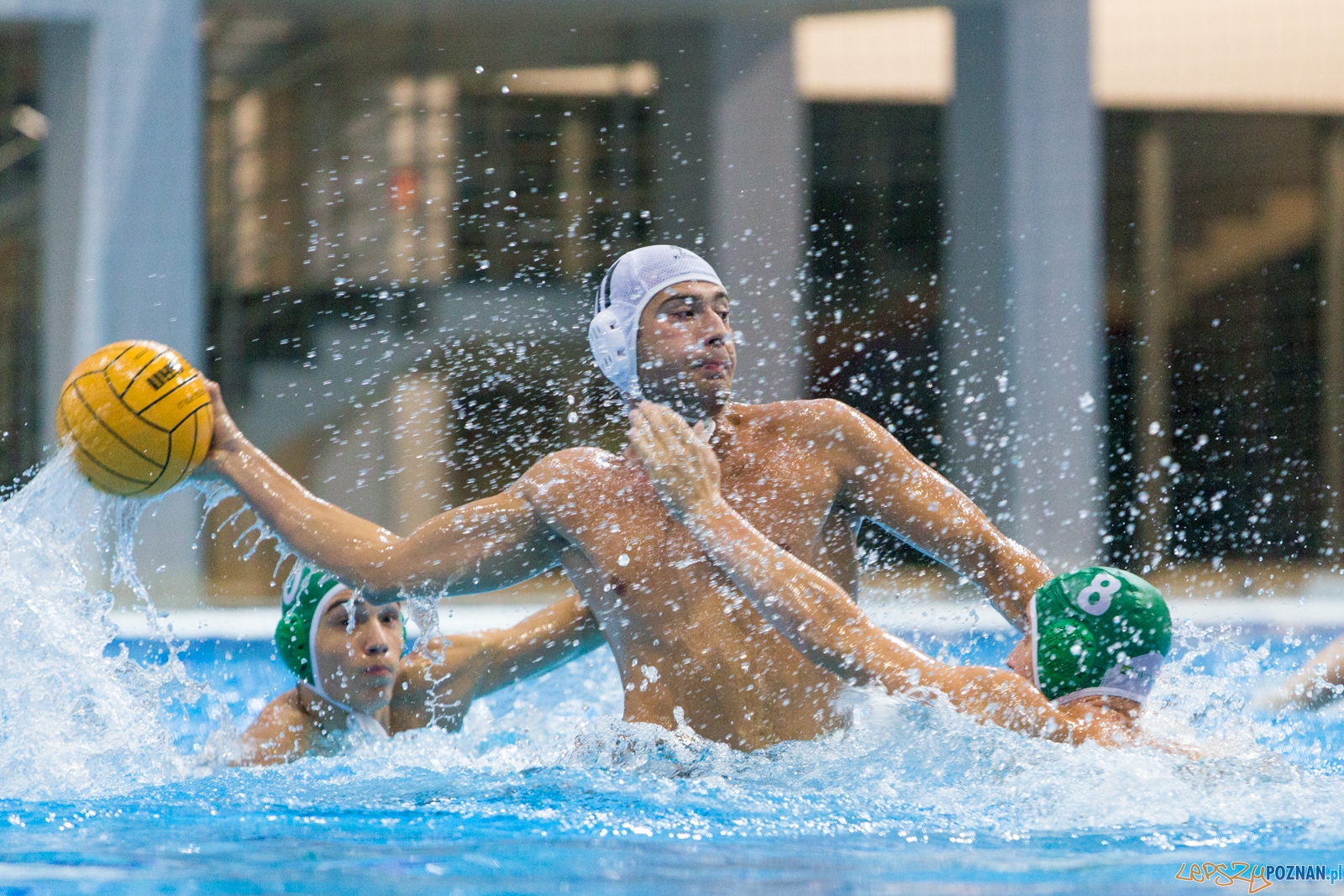 Puchar Polski w piłce wodnej mężczyzn 2015 - Waterpolo Pozna Foto: lepszyPOZNAN.pl / Piotr Rychter Puchar Polski w piłce wodnej mężczyzn 2015 - Waterpolo Pozna Foto: lepszyPOZNAN.pl / Piotr Rychter