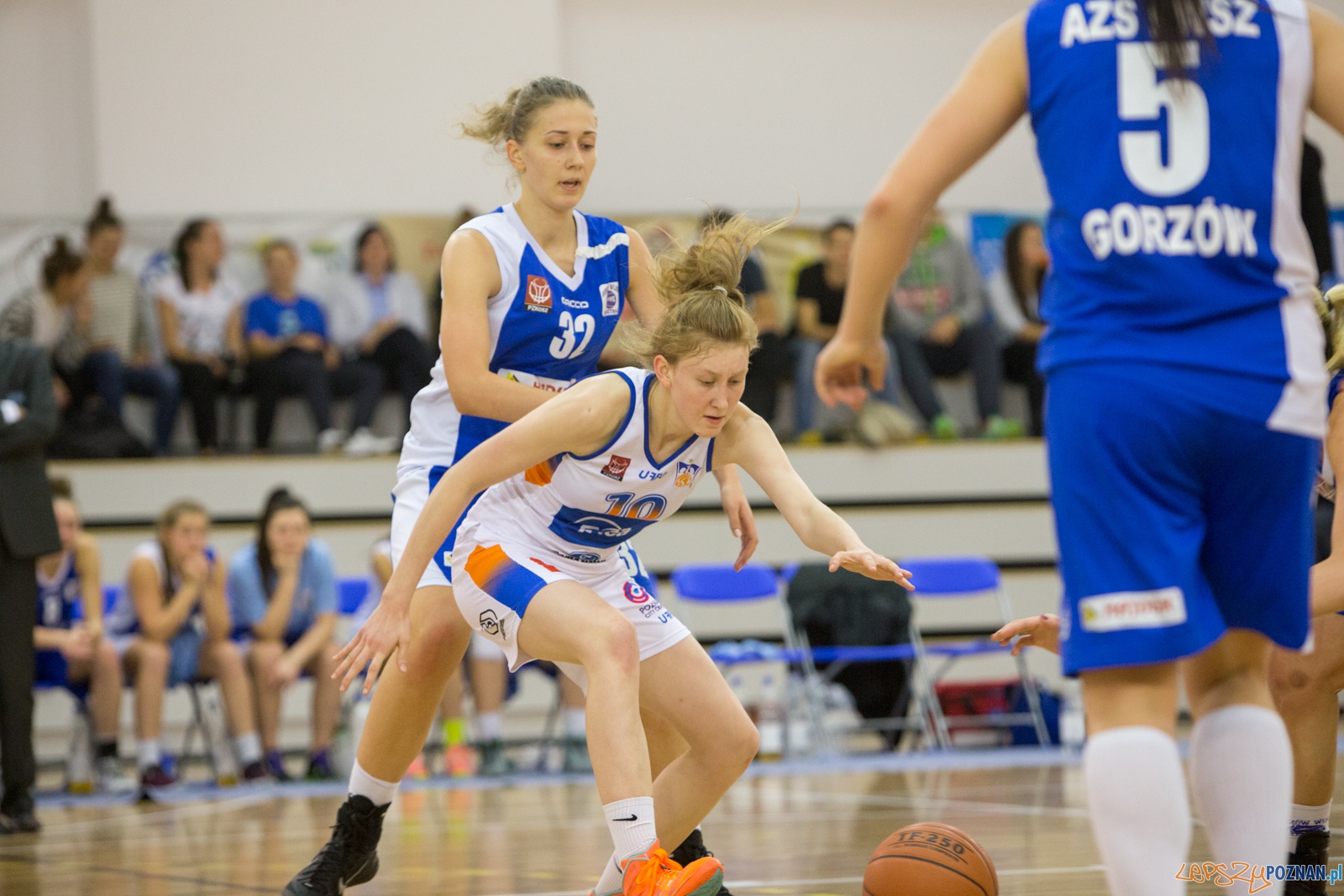 1 liga Kobiet Enea AZS Poznań - AZS PWSZ II Gorzów Foto: lepszyPOZNAN.pl / Piotr Rychter 1 liga Kobiet Enea AZS Poznań - AZS PWSZ II Gorzów Foto: lepszyPOZNAN.pl / Piotr Rychter