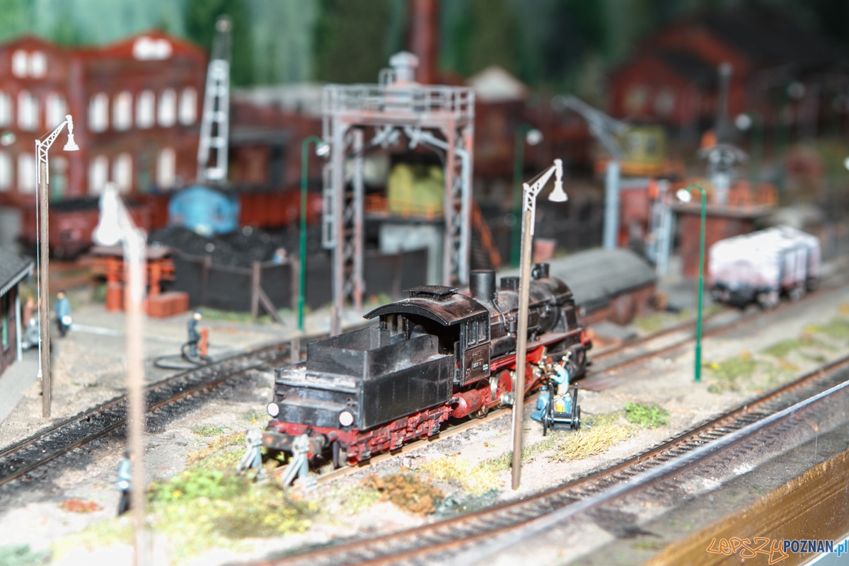 Targi Hobby 2015 Foto: LepszyPOZNAN.pl / Paweł Rychter Targi Hobby 2015 Foto: LepszyPOZNAN.pl / Paweł Rychter