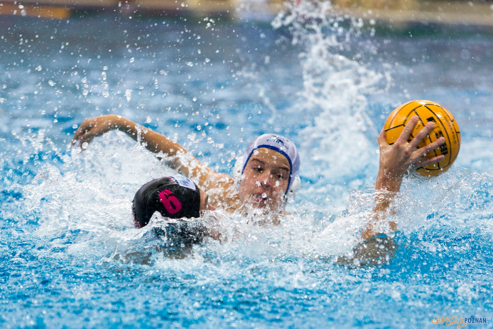 Puchar Polski w piłce wodnej mężczyzn 2015 (GKPW 59 Gorzów - Foto: lepszyPOZNAN.pl / Piotr Rychter Puchar Polski w piłce wodnej mężczyzn 2015 (GKPW 59 Gorzów - Foto: lepszyPOZNAN.pl / Piotr Rychter