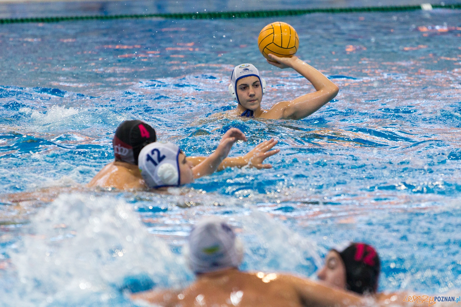 Puchar Polski w piłce wodnej mężczyzn 2015 (GKPW 59 Gorzów - Foto: lepszyPOZNAN.pl / Piotr Rychter Puchar Polski w piłce wodnej mężczyzn 2015 (GKPW 59 Gorzów - Foto: lepszyPOZNAN.pl / Piotr Rychter