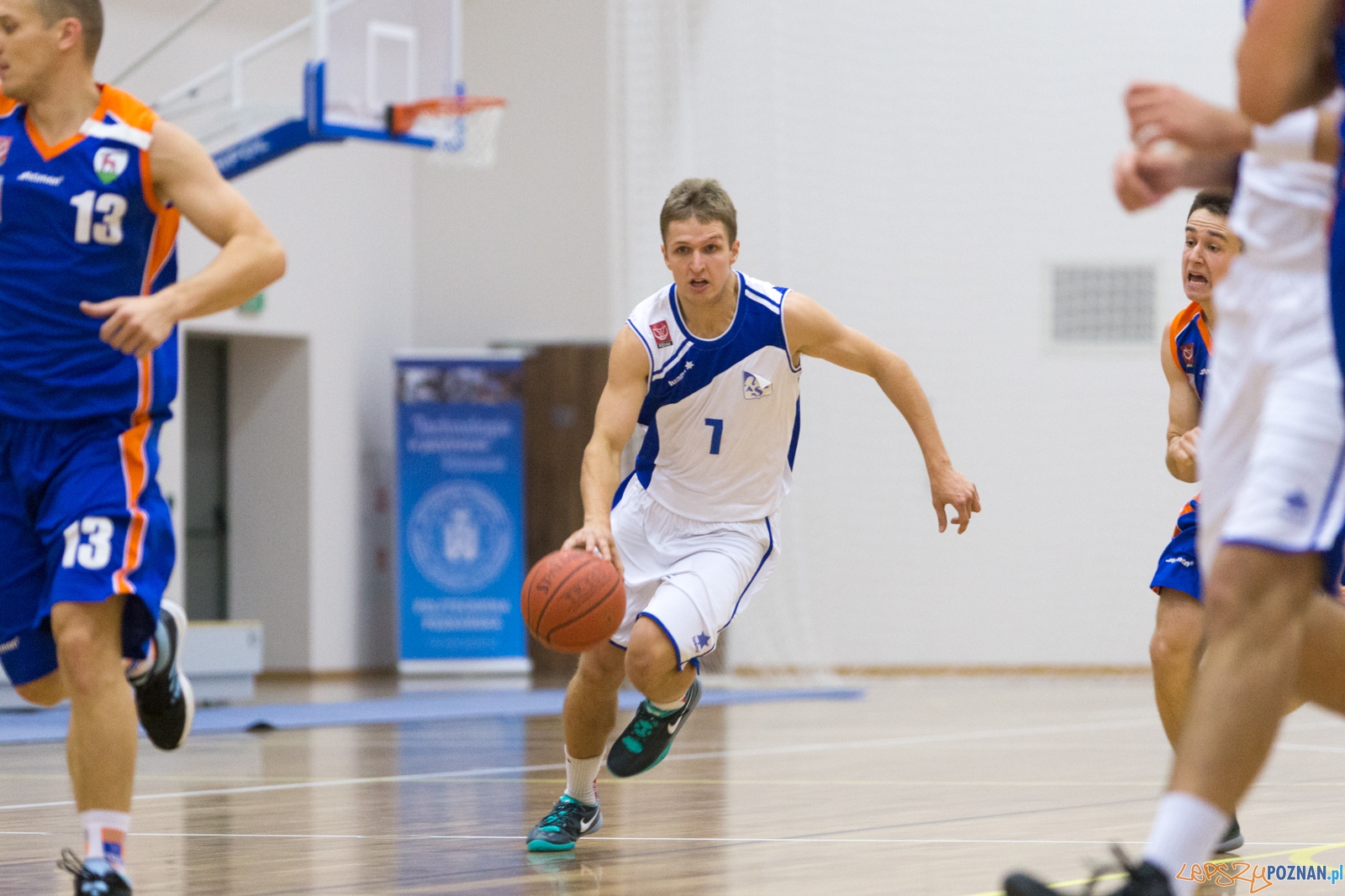 AZS Politechnika Poznań - KS Sudety Jelenia Góra Foto: lepszyPOZNAN.pl / Piotr Rychter AZS Politechnika Poznań - KS Sudety Jelenia Góra Foto: lepszyPOZNAN.pl / Piotr Rychter