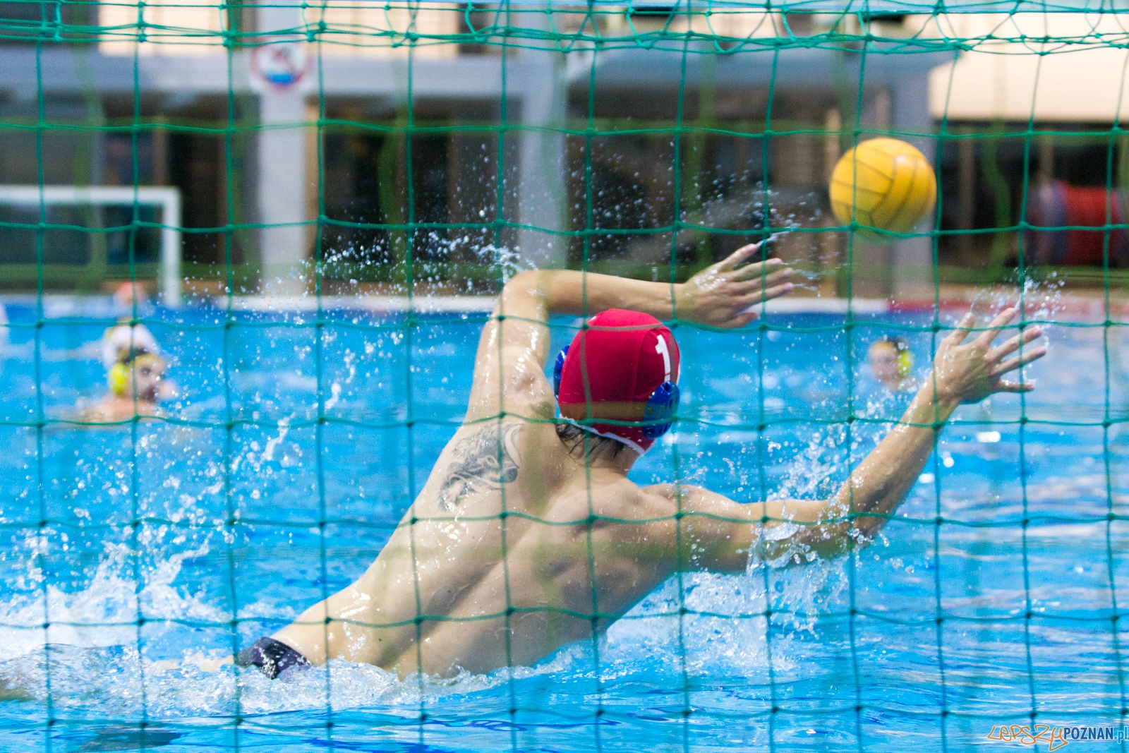 1. kolejka rozgrywek Ekstraklasy w piłce wodnej mężczyzn Foto: lepszyPOZNAN.pl / Piotr Rychter 1. kolejka rozgrywek Ekstraklasy w piłce wodnej mężczyzn Foto: lepszyPOZNAN.pl / Piotr Rychter