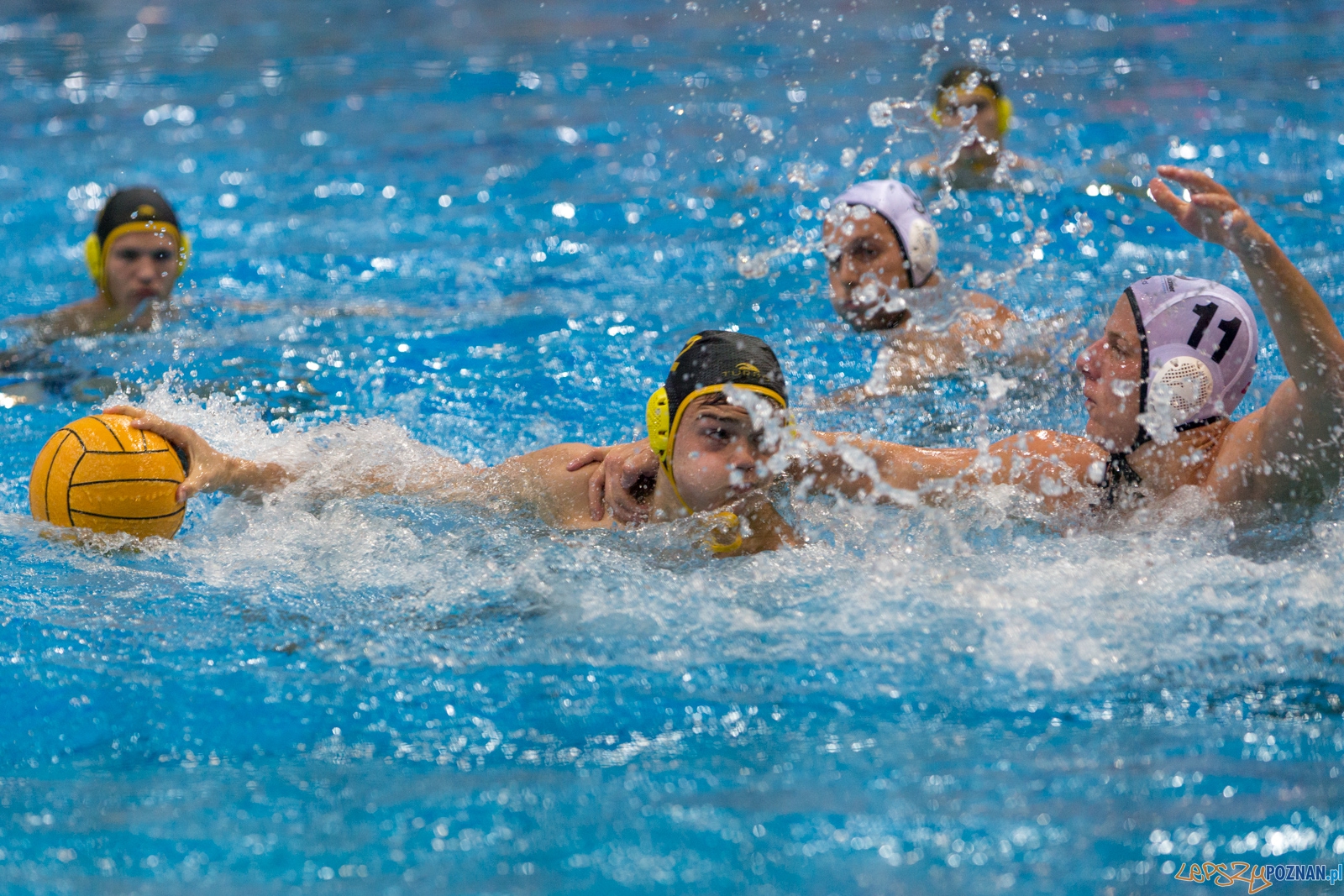 Puchar Polski w piłce wodnej mężczyzn 2015 - półfinał Ocme Foto: lepszyPOZNAN.pl / Piotr Rychter Puchar Polski w piłce wodnej mężczyzn 2015 - półfinał Ocme Foto: lepszyPOZNAN.pl / Piotr Rychter