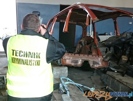 Jeszcze jedna dziupla zlikwidowana Foto: KWP w Poznaniu Jeszcze jedna dziupla zlikwidowana Foto: KWP w Poznaniu