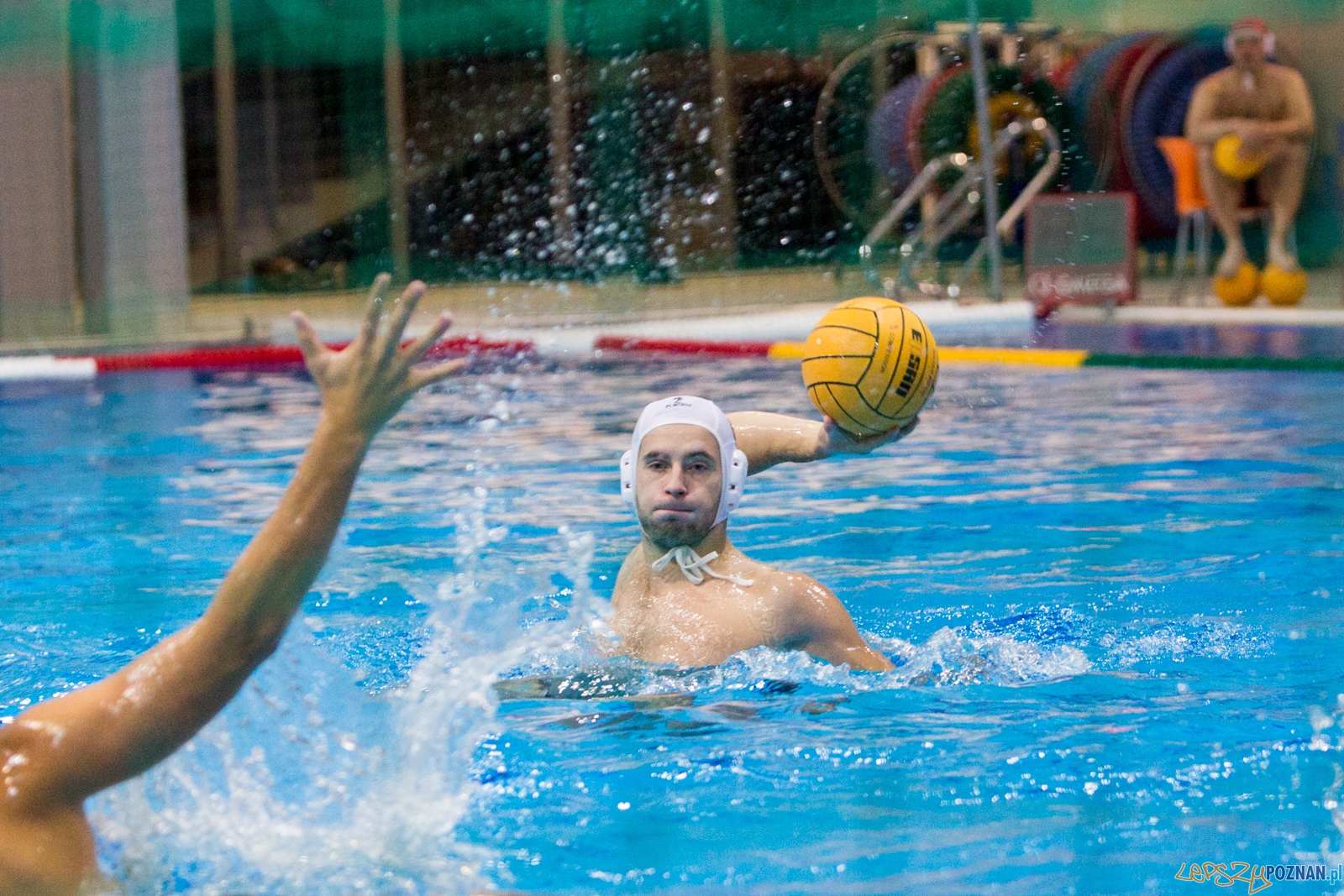 Puchar Polski w piłce wodnej mężczyzn 2015 - Waterpolo Pozna Foto: lepszyPOZNAN.pl / Piotr Rychter Puchar Polski w piłce wodnej mężczyzn 2015 - Waterpolo Pozna Foto: lepszyPOZNAN.pl / Piotr Rychter