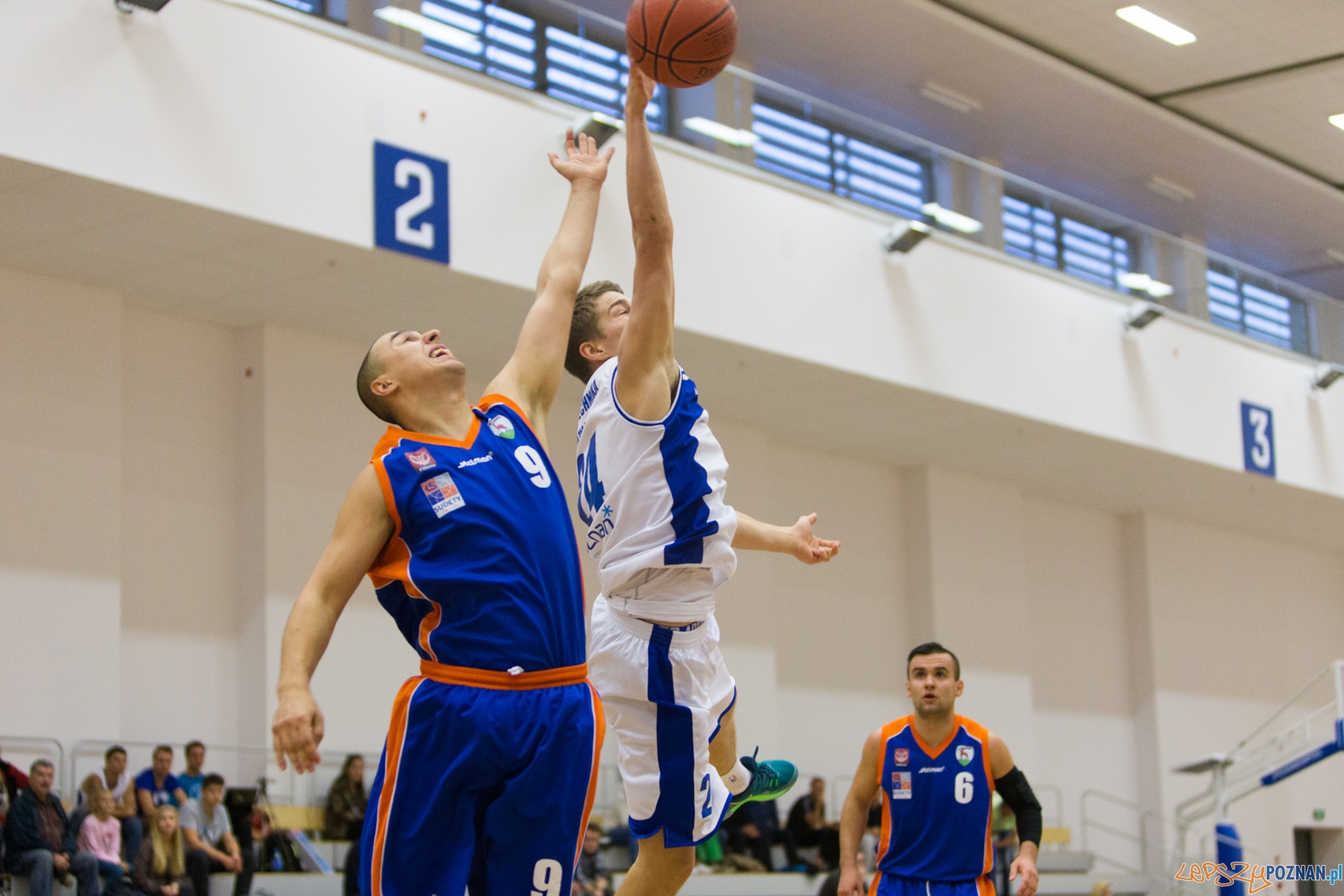 AZS Politechnika Poznań - KS Sudety Jelenia Góra Foto: lepszyPOZNAN.pl / Piotr Rychter AZS Politechnika Poznań - KS Sudety Jelenia Góra Foto: lepszyPOZNAN.pl / Piotr Rychter