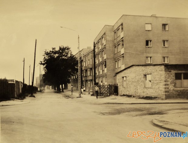 Ul. Dolna Wilda - 1968 Foto: Z archiwum Miejskiego Konserwatora Zabytków, autor: Czesław Czub Ul. Dolna Wilda - 1968 Foto: Z archiwum Miejskiego Konserwatora Zabytków, autor: Czesław Czub