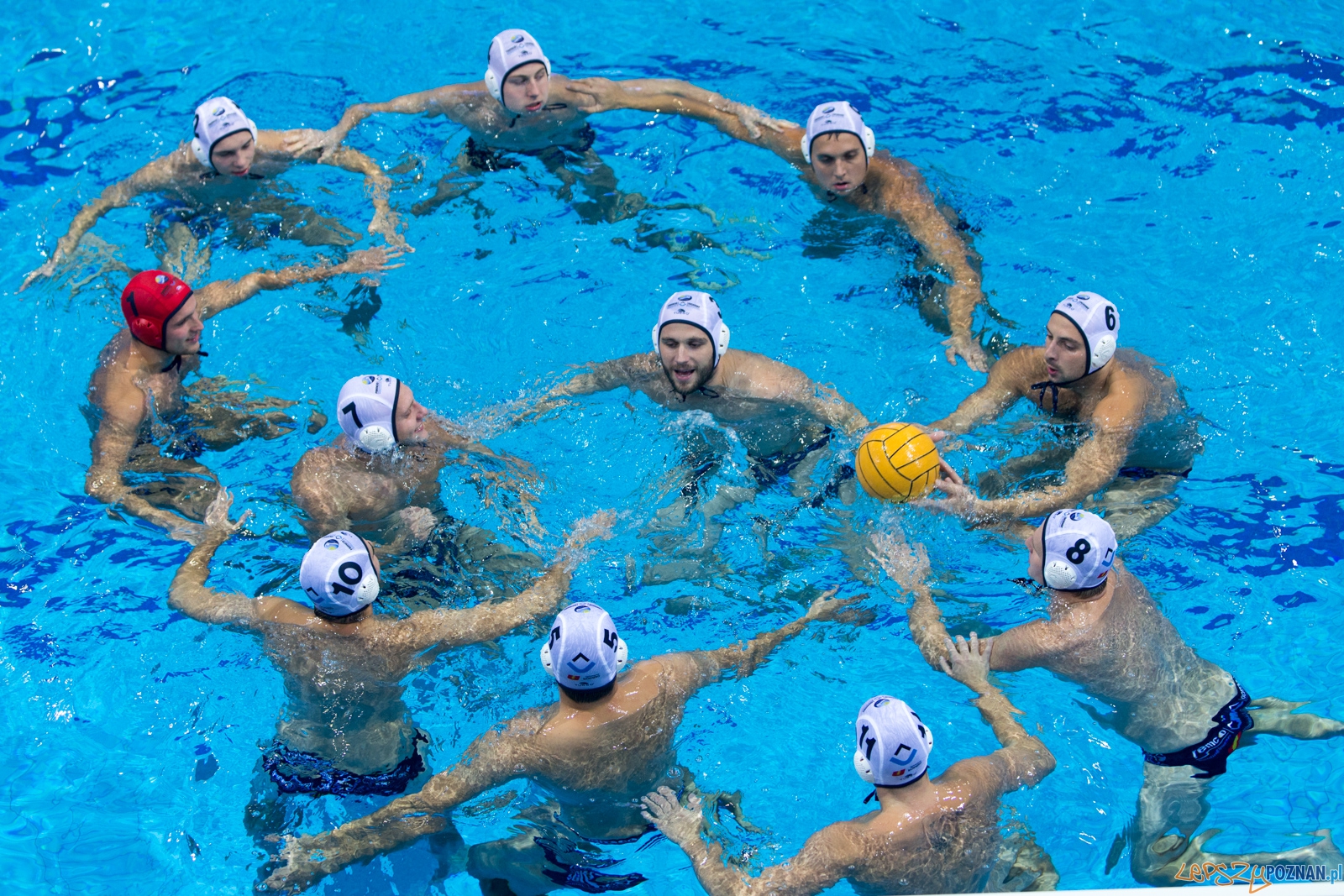 Puchar Polski w piłce wodnej mężczyzn 2015 - półfinał Ocme Foto: lepszyPOZNAN.pl / Piotr Rychter Puchar Polski w piłce wodnej mężczyzn 2015 - półfinał Ocme Foto: lepszyPOZNAN.pl / Piotr Rychter