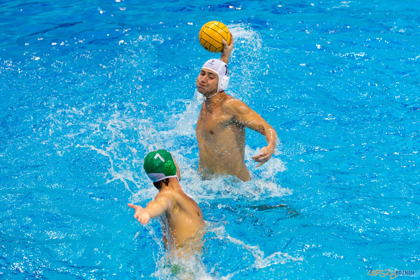 Puchar Polski w piłce wodnej mężczyzn 2015 Foto: lepszyPOZNAN.pl / Piotr Rychter Puchar Polski w piłce wodnej mężczyzn 2015 Foto: lepszyPOZNAN.pl / Piotr Rychter