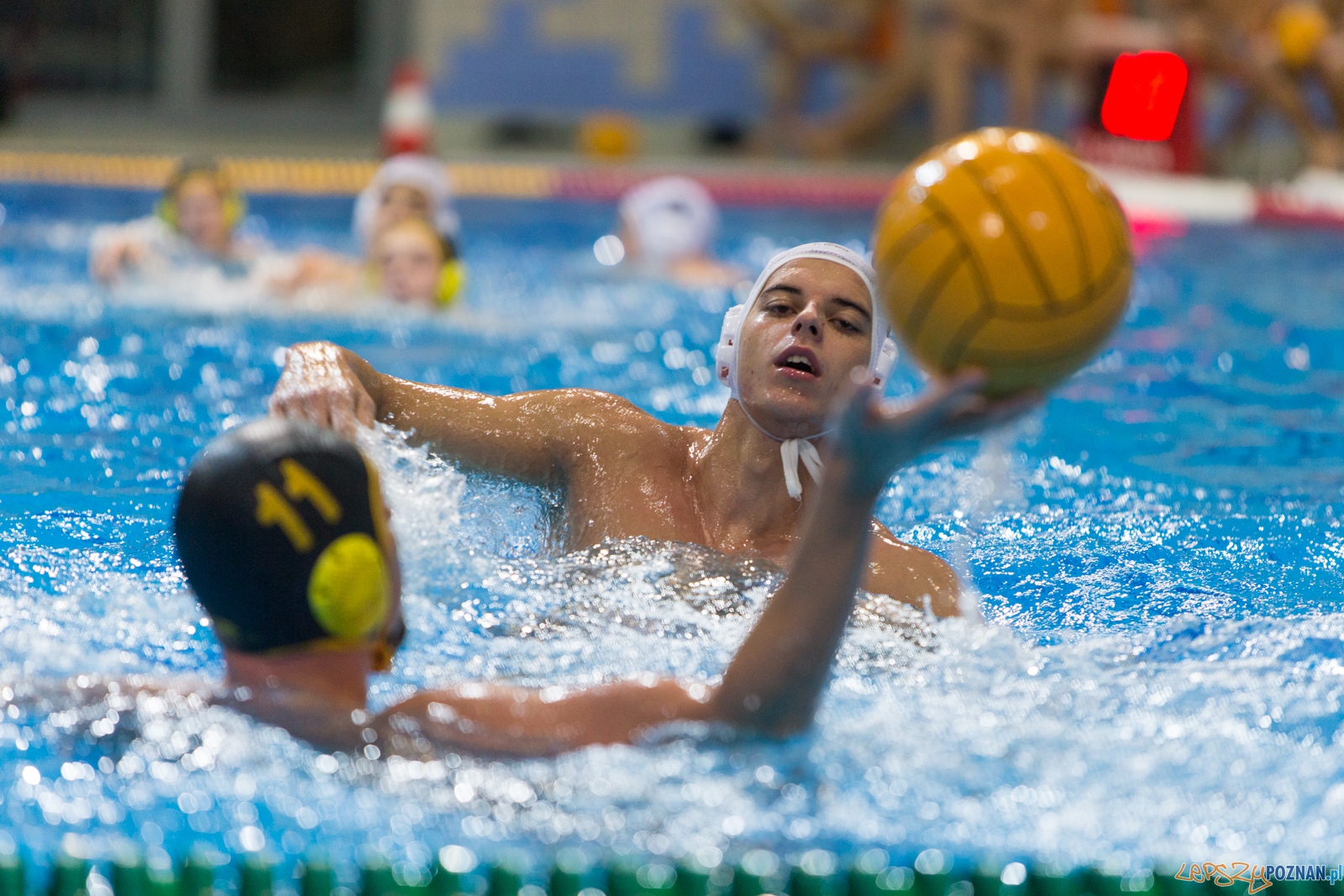 1. kolejka rozgrywek Ekstraklasy w piłce wodnej mężczyzn Foto: lepszyPOZNAN.pl / Piotr Rychter 1. kolejka rozgrywek Ekstraklasy w piłce wodnej mężczyzn Foto: lepszyPOZNAN.pl / Piotr Rychter