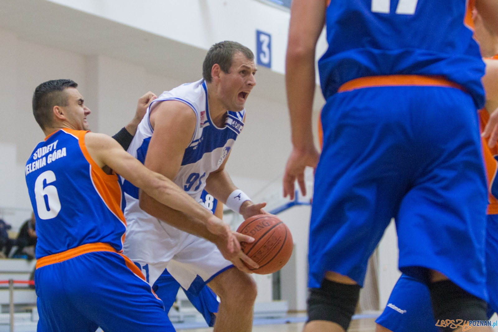 AZS Politechnika Poznań - KS Sudety Jelenia Góra Foto: lepszyPOZNAN.pl / Piotr Rychter AZS Politechnika Poznań - KS Sudety Jelenia Góra Foto: lepszyPOZNAN.pl / Piotr Rychter