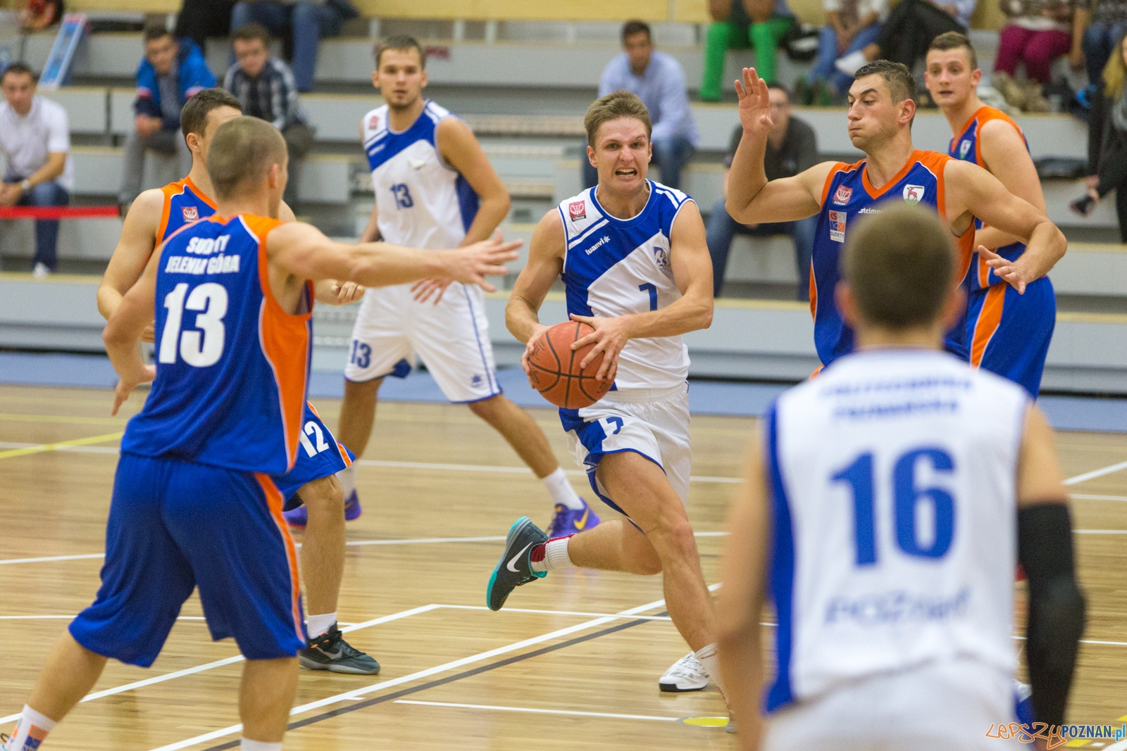 AZS Politechnika Poznań - KS Sudety Jelenia Góra Foto: lepszyPOZNAN.pl / Piotr Rychter AZS Politechnika Poznań - KS Sudety Jelenia Góra Foto: lepszyPOZNAN.pl / Piotr Rychter