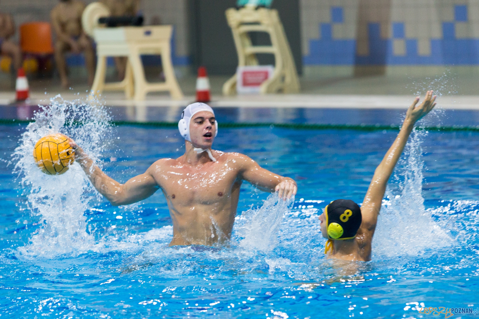 1. kolejka rozgrywek Ekstraklasy w piłce wodnej mężczyzn Foto: lepszyPOZNAN.pl / Piotr Rychter 1. kolejka rozgrywek Ekstraklasy w piłce wodnej mężczyzn Foto: lepszyPOZNAN.pl / Piotr Rychter