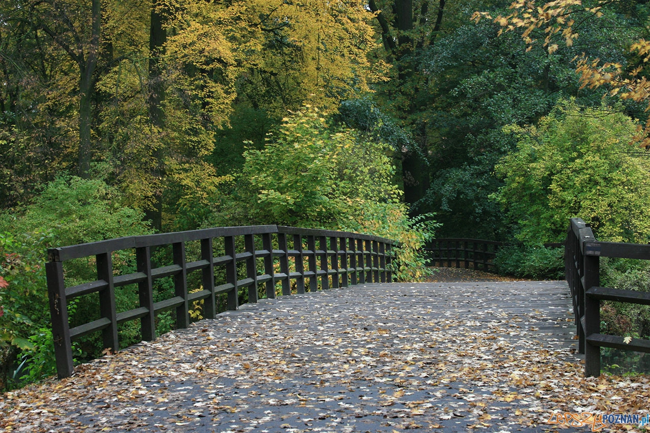 Park Sołacki Foto: poznaniacy.eu Park Sołacki Foto: poznaniacy.eu