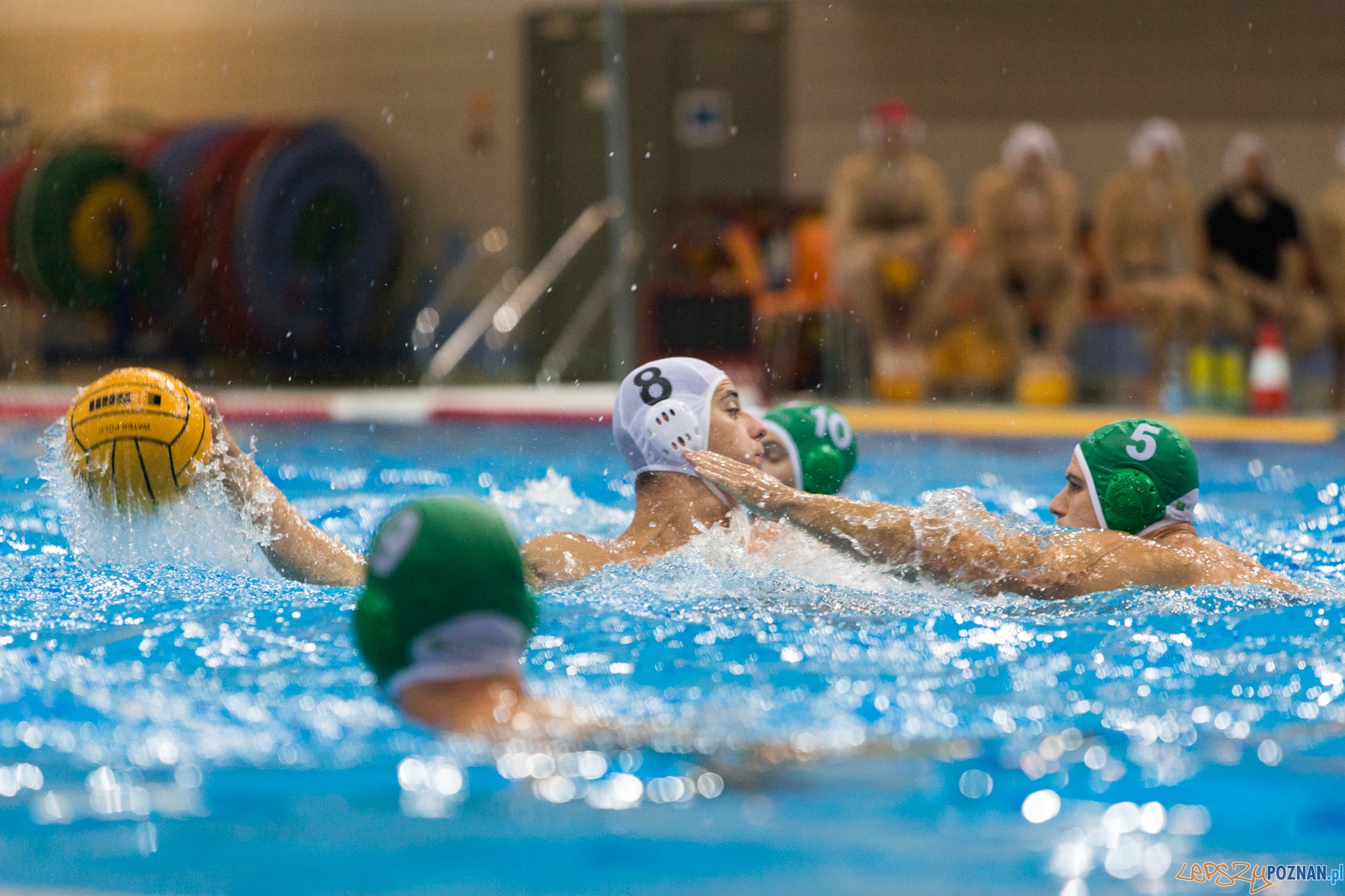 Puchar Polski w piłce wodnej mężczyzn 2015 - Waterpolo Pozna Foto: lepszyPOZNAN.pl / Piotr Rychter Puchar Polski w piłce wodnej mężczyzn 2015 - Waterpolo Pozna Foto: lepszyPOZNAN.pl / Piotr Rychter