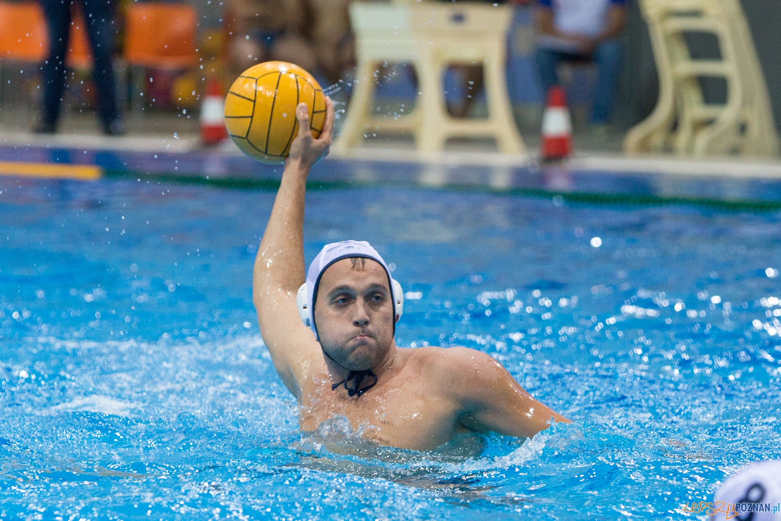 Puchar Polski w piłce wodnej mężczyzn 2015 - półfinał Ocme Foto: lepszyPOZNAN.pl / Piotr Rychter Puchar Polski w piłce wodnej mężczyzn 2015 - półfinał Ocme Foto: lepszyPOZNAN.pl / Piotr Rychter