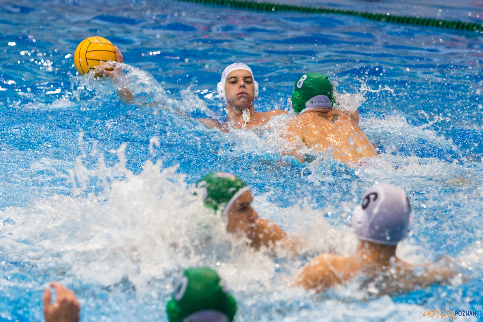 Puchar Polski w piłce wodnej mężczyzn 2015 - Waterpolo Pozna Foto: lepszyPOZNAN.pl / Piotr Rychter Puchar Polski w piłce wodnej mężczyzn 2015 - Waterpolo Pozna Foto: lepszyPOZNAN.pl / Piotr Rychter