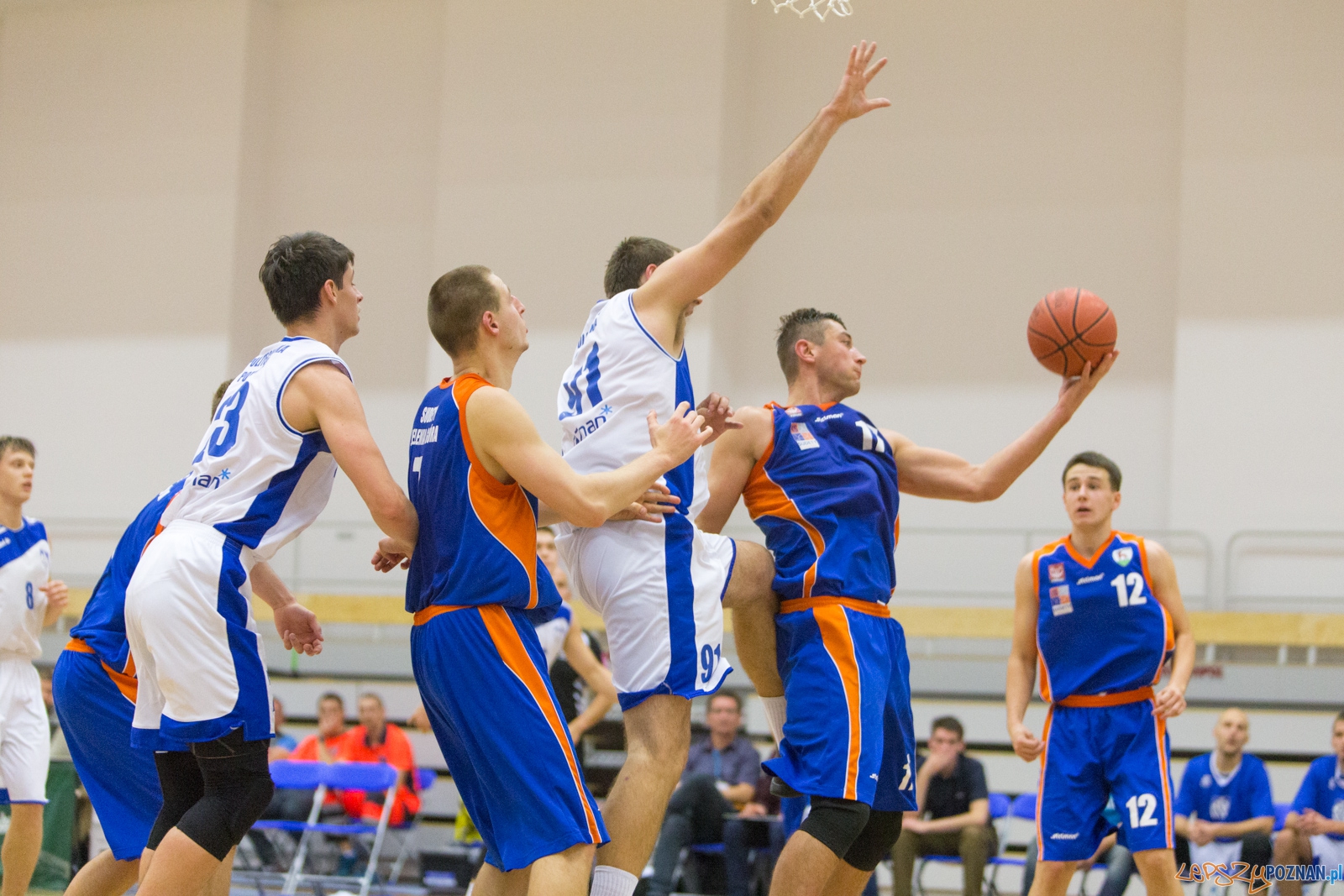 AZS Politechnika Poznań - KS Sudety Jelenia Góra Foto: lepszyPOZNAN.pl / Piotr Rychter AZS Politechnika Poznań - KS Sudety Jelenia Góra Foto: lepszyPOZNAN.pl / Piotr Rychter