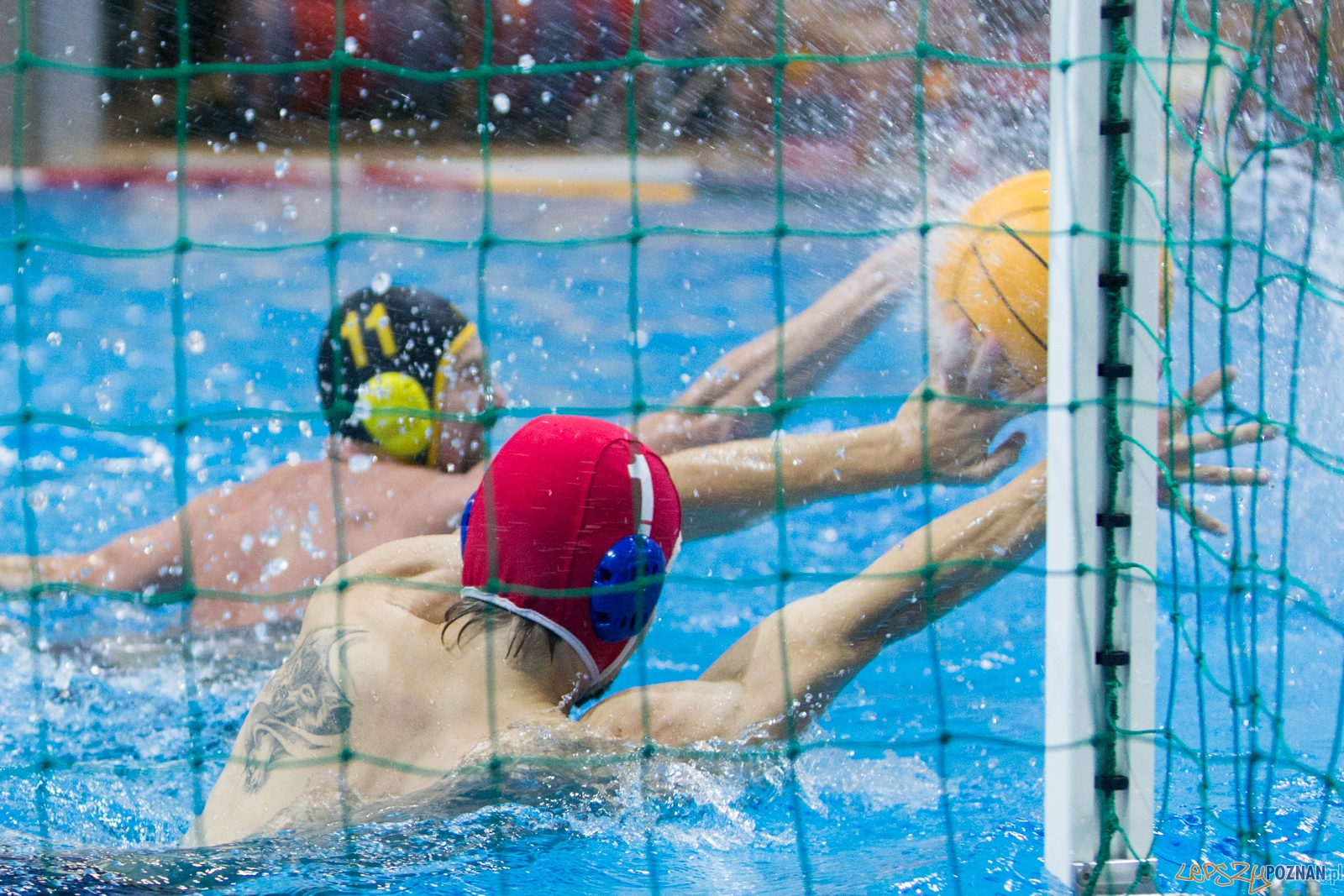 1. kolejka rozgrywek Ekstraklasy w piłce wodnej mężczyzn Foto: lepszyPOZNAN.pl / Piotr Rychter 1. kolejka rozgrywek Ekstraklasy w piłce wodnej mężczyzn Foto: lepszyPOZNAN.pl / Piotr Rychter