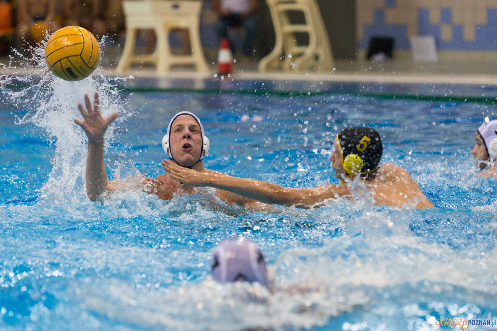 Puchar Polski w piłce wodnej mężczyzn 2015 - półfinał Ocme Foto: lepszyPOZNAN.pl / Piotr Rychter Puchar Polski w piłce wodnej mężczyzn 2015 - półfinał Ocme Foto: lepszyPOZNAN.pl / Piotr Rychter