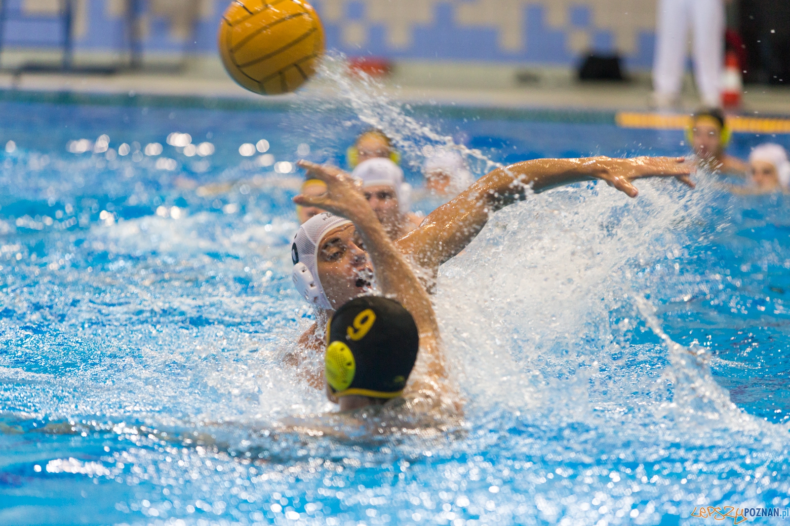 1. kolejka rozgrywek Ekstraklasy w piłce wodnej mężczyzn Foto: lepszyPOZNAN.pl / Piotr Rychter 1. kolejka rozgrywek Ekstraklasy w piłce wodnej mężczyzn Foto: lepszyPOZNAN.pl / Piotr Rychter