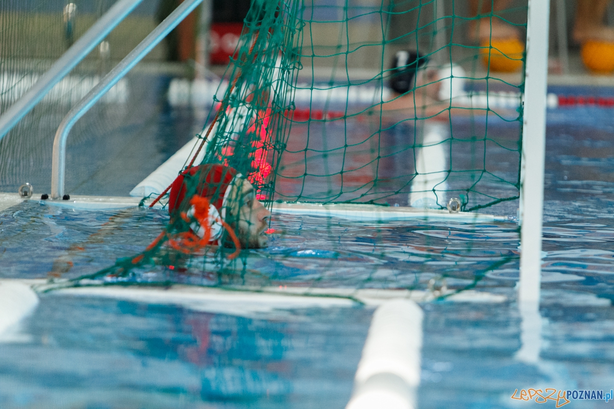 Finał Pucharu Polski Waterpoli - Poznań 11.10.2015 r. Foto: LepszyPOZNAN.pl / Paweł Rychter Finał Pucharu Polski Waterpoli - Poznań 11.10.2015 r. Foto: LepszyPOZNAN.pl / Paweł Rychter