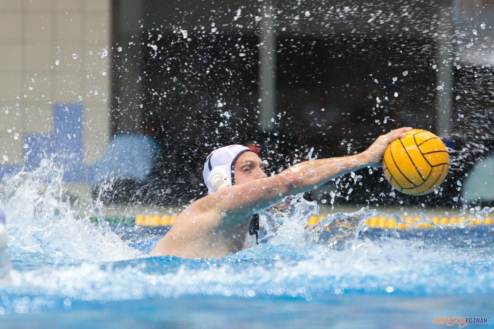 Puchar Polski w piłce wodnej mężczyzn 2015 - półfinał Ocme Foto: lepszyPOZNAN.pl / Piotr Rychter Puchar Polski w piłce wodnej mężczyzn 2015 - półfinał Ocme Foto: lepszyPOZNAN.pl / Piotr Rychter