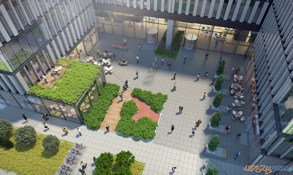 Maraton przy Królowej Jadwigii Foto: Materiały prasowe Maraton przy Królowej Jadwigii Foto: Materiały prasowe