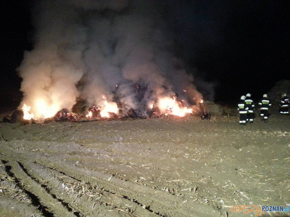 Spłonął stóg siana Foto: OSP Kostrzyn Spłonął stóg siana Foto: OSP Kostrzyn