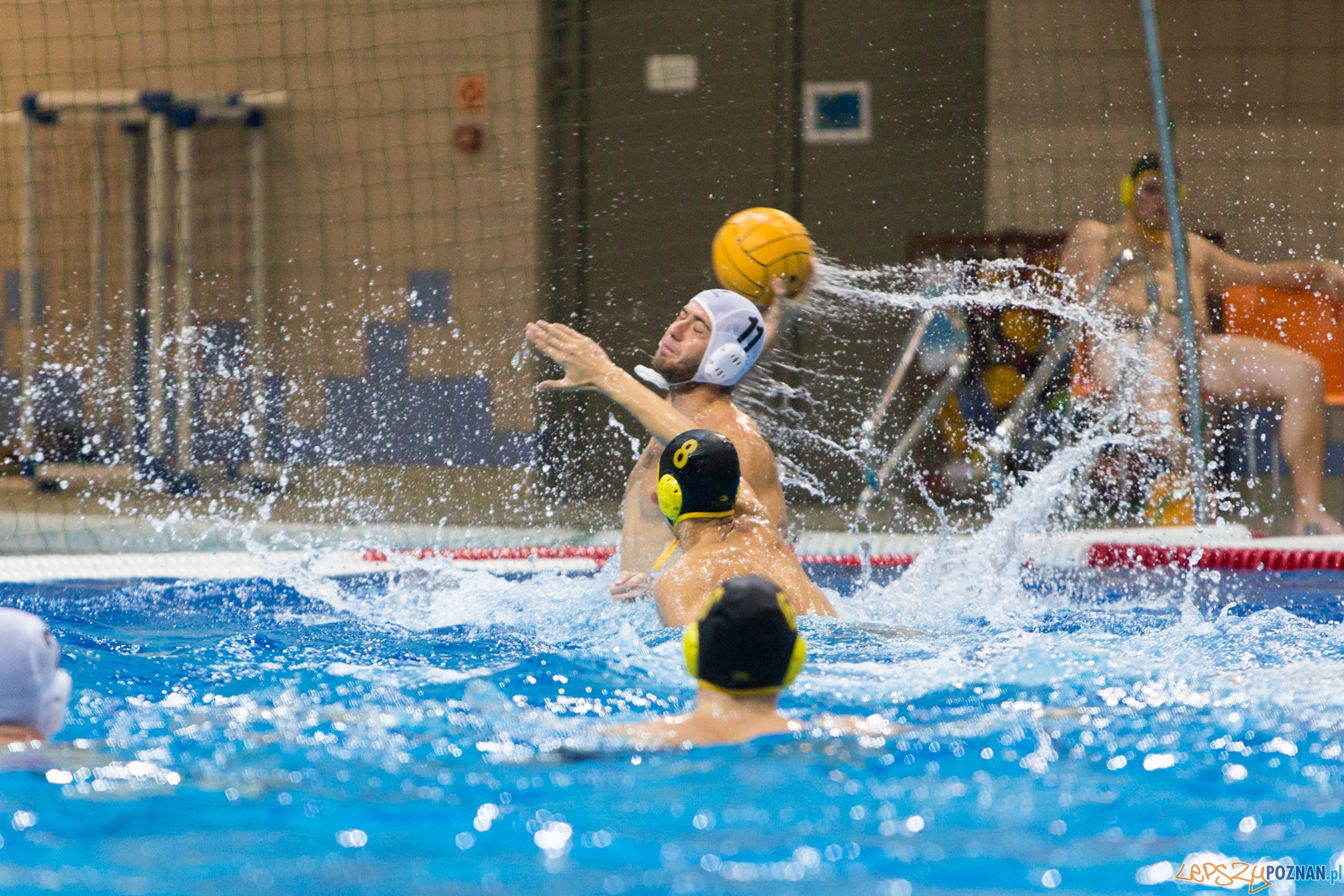 1. kolejka rozgrywek Ekstraklasy w piłce wodnej mężczyzn Foto: lepszyPOZNAN.pl / Piotr Rychter 1. kolejka rozgrywek Ekstraklasy w piłce wodnej mężczyzn Foto: lepszyPOZNAN.pl / Piotr Rychter
