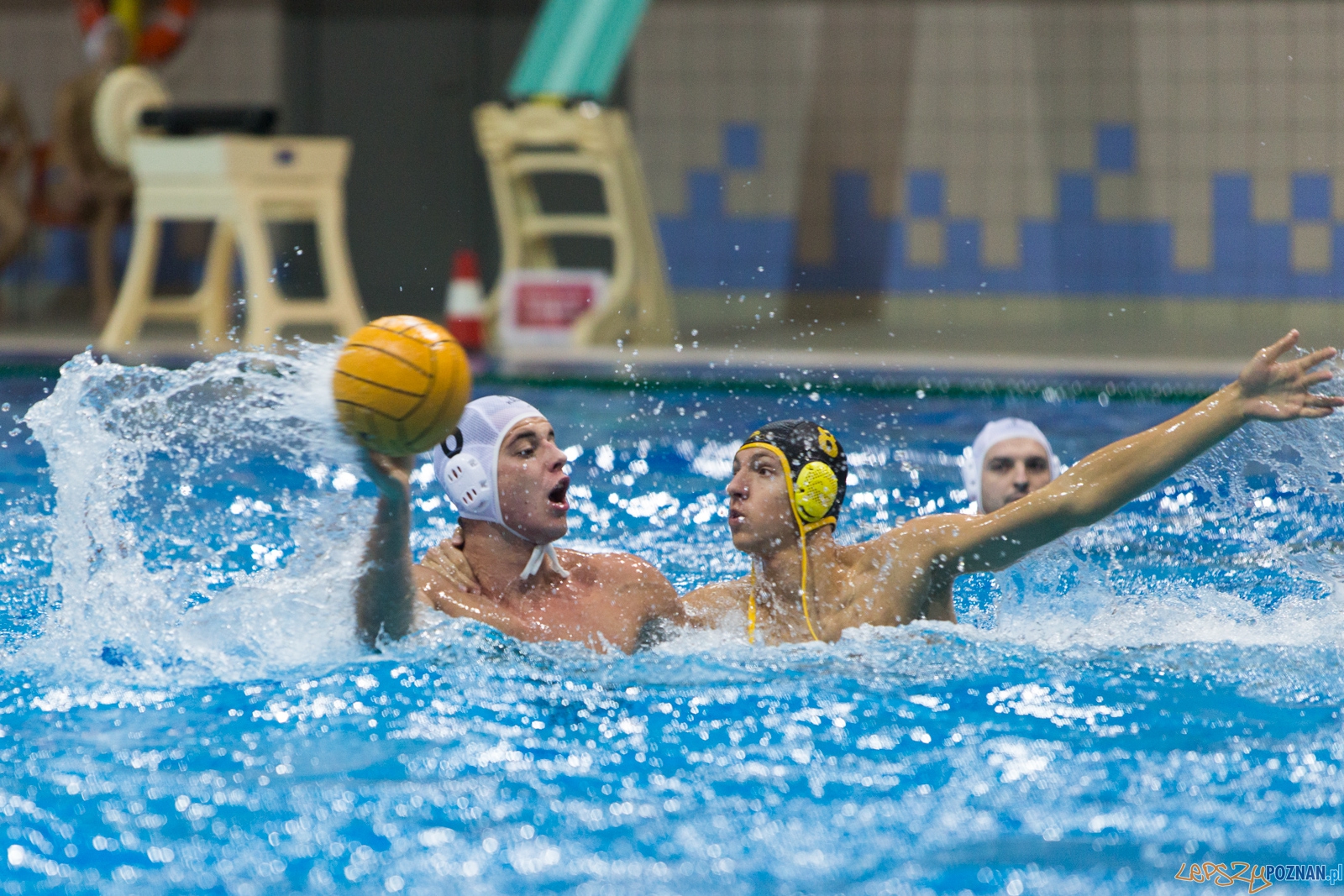 1. kolejka rozgrywek Ekstraklasy w piłce wodnej mężczyzn Foto: lepszyPOZNAN.pl / Piotr Rychter 1. kolejka rozgrywek Ekstraklasy w piłce wodnej mężczyzn Foto: lepszyPOZNAN.pl / Piotr Rychter