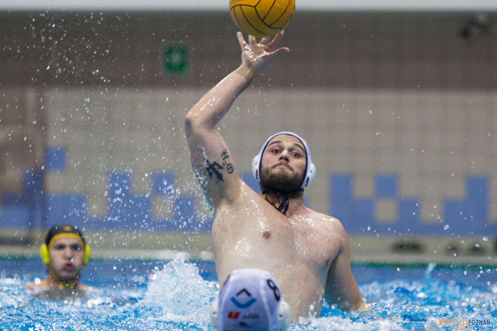 Puchar Polski w piłce wodnej mężczyzn 2015 - półfinał Ocme Foto: lepszyPOZNAN.pl / Piotr Rychter Puchar Polski w piłce wodnej mężczyzn 2015 - półfinał Ocme Foto: lepszyPOZNAN.pl / Piotr Rychter