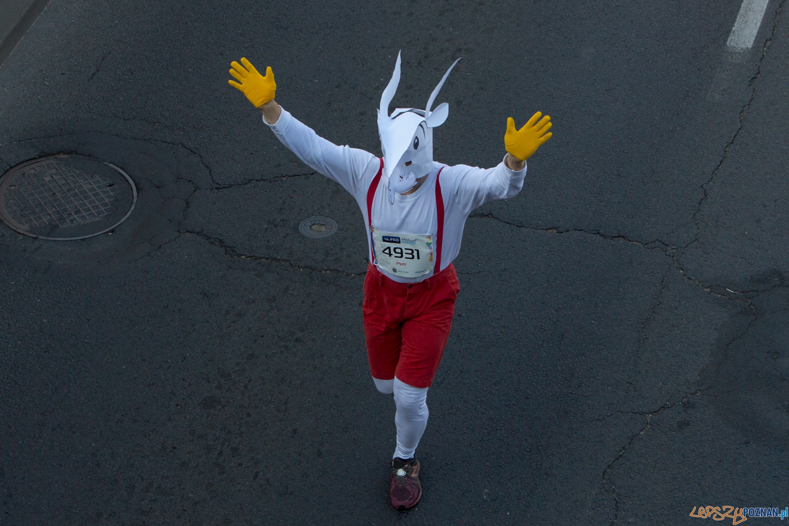 16. Poznań Maraton Foto: lepszyPOZNAN.pl / Piotr Rychter 16. Poznań Maraton Foto: lepszyPOZNAN.pl / Piotr Rychter